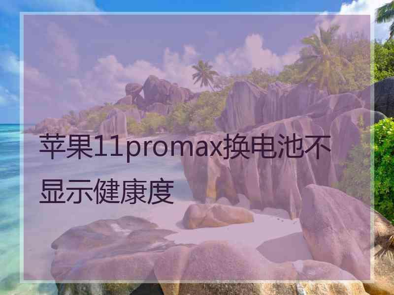 苹果11promax换电池不显示健康度