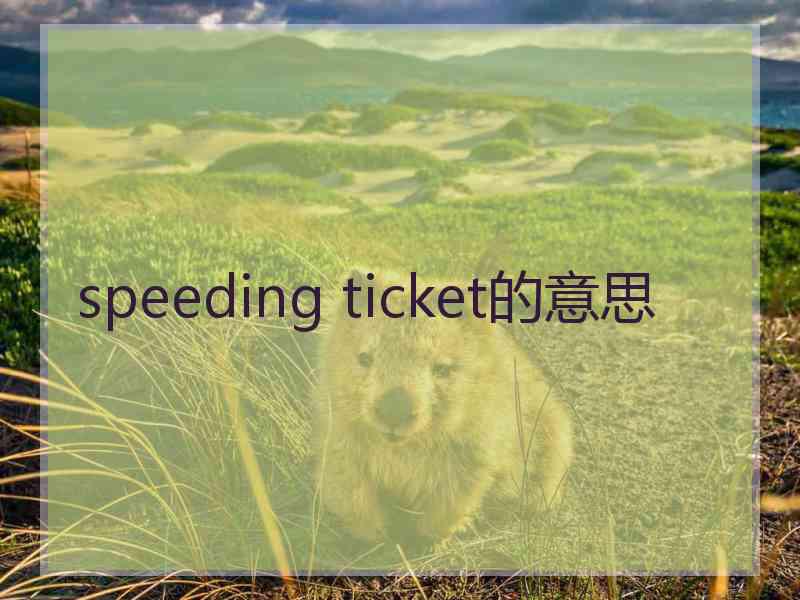 speeding ticket的意思