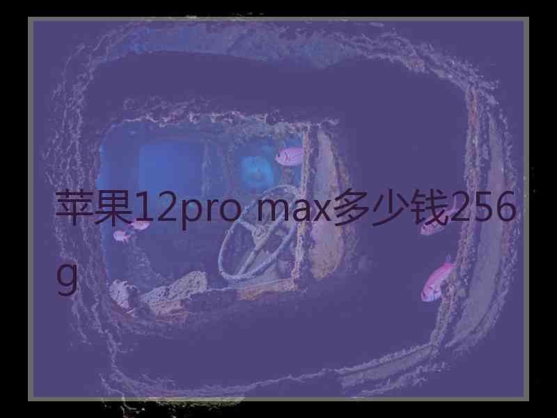 苹果12pro max多少钱256g