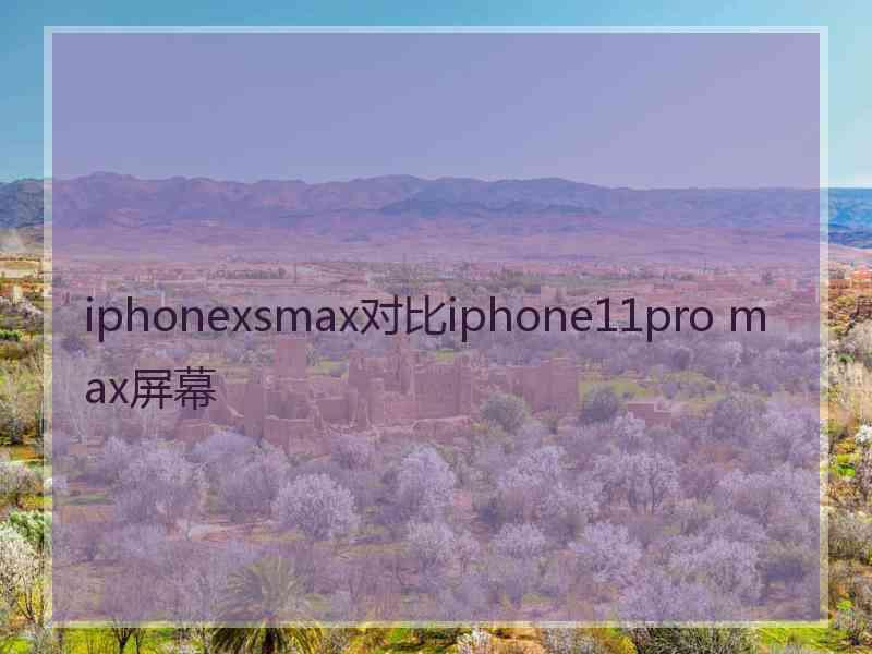 iphonexsmax对比iphone11pro max屏幕