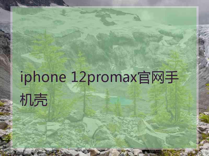 iphone 12promax官网手机壳