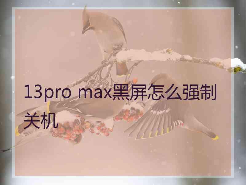 13pro max黑屏怎么强制关机