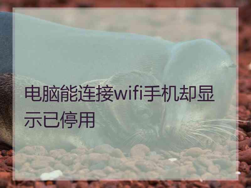 电脑能连接wifi手机却显示已停用