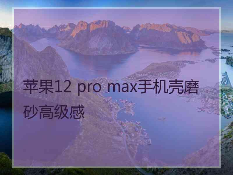 苹果12 pro max手机壳磨砂高级感