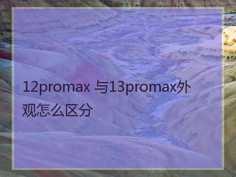 12promax 与13promax外观怎么区分