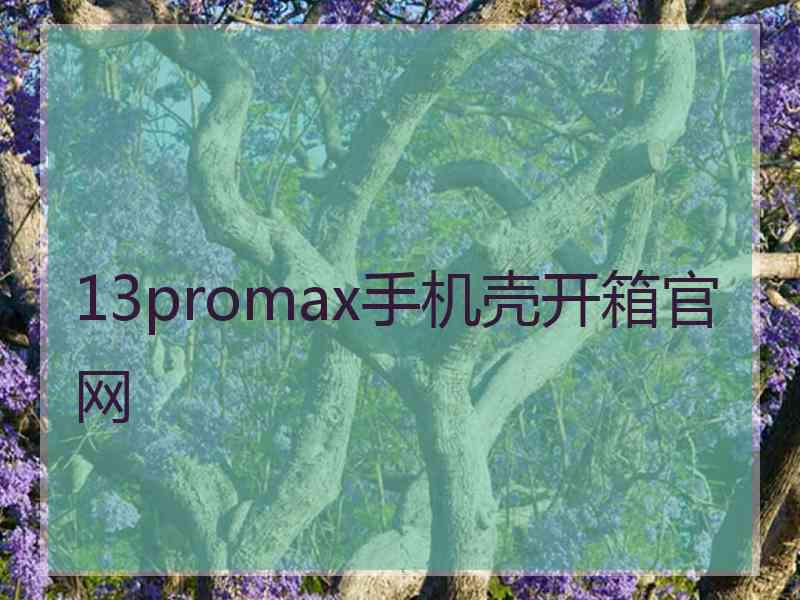 13promax手机壳开箱官网