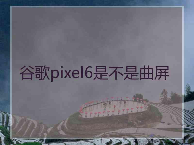 谷歌pixel6是不是曲屏