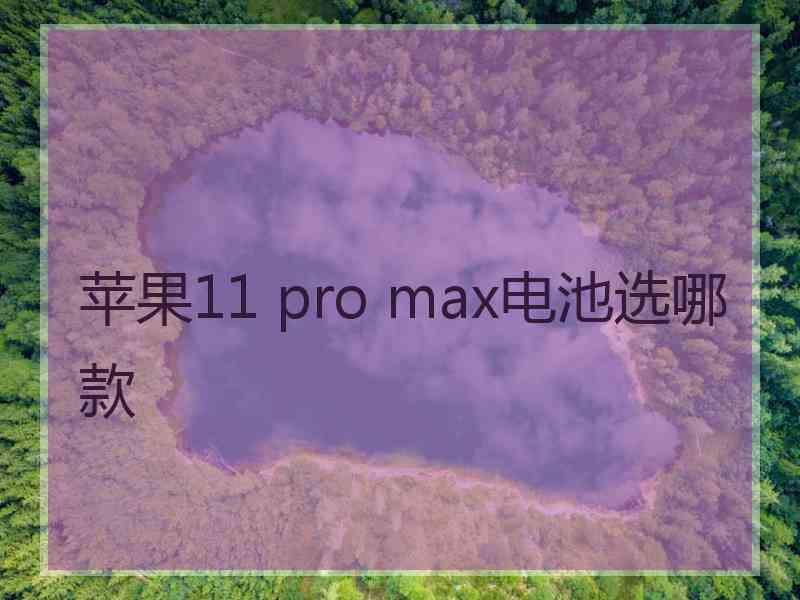 苹果11 pro max电池选哪款