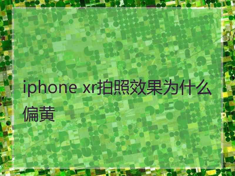 iphone xr拍照效果为什么偏黄