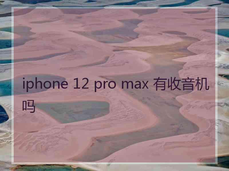 iphone 12 pro max 有收音机吗