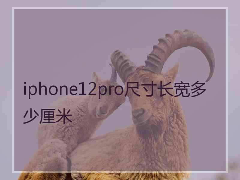 iphone12pro尺寸长宽多少厘米