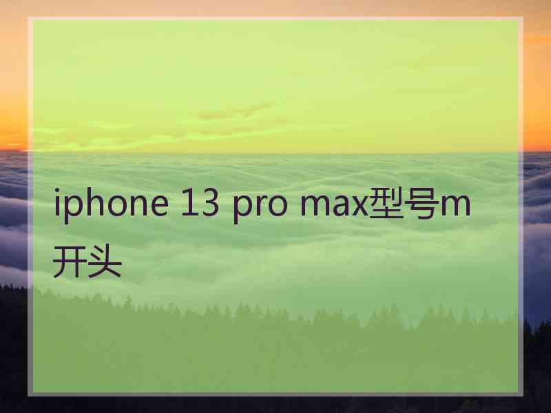 iphone 13 pro max型号m开头