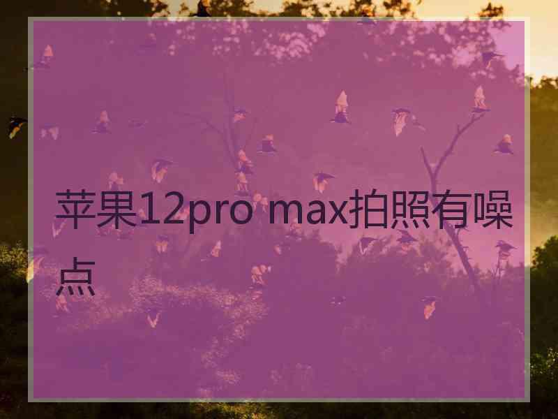 苹果12pro max拍照有噪点