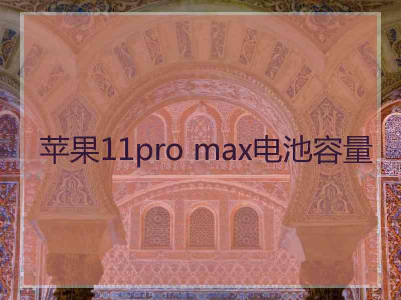 苹果11pro max电池容量