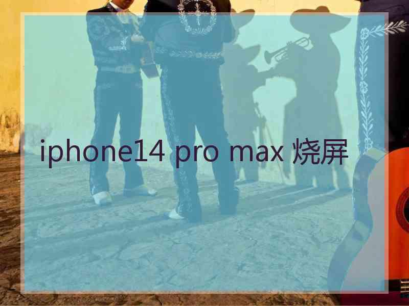 iphone14 pro max 烧屏