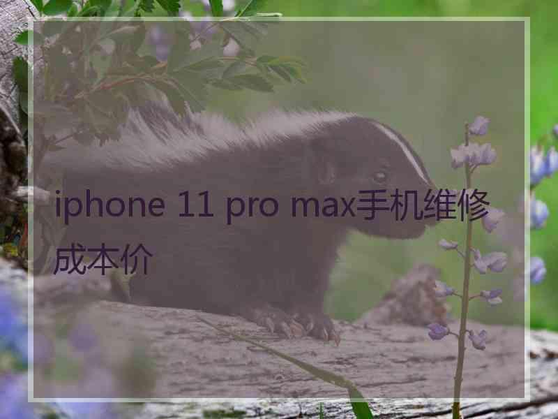 iphone 11 pro max手机维修成本价