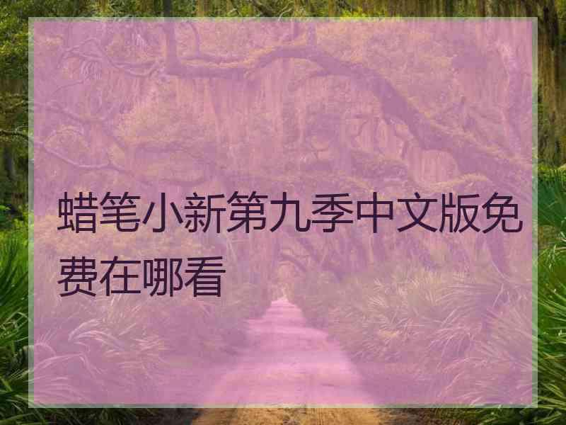 蜡笔小新第九季中文版免费在哪看