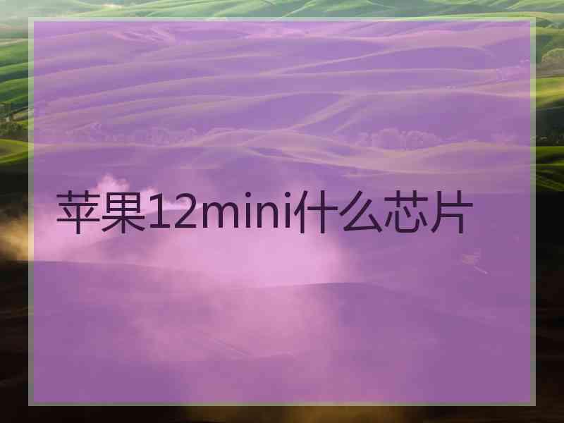 苹果12mini什么芯片