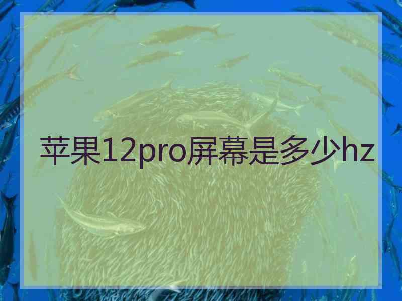 苹果12pro屏幕是多少hz