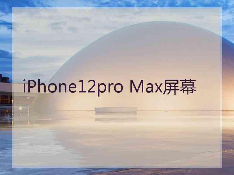 iPhone12pro Max屏幕