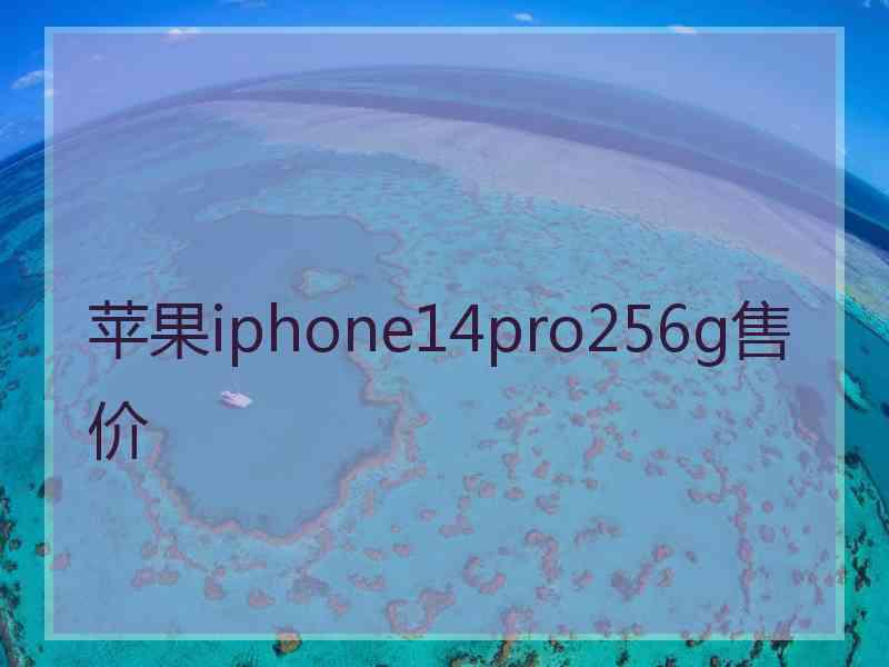 苹果iphone14pro256g售价