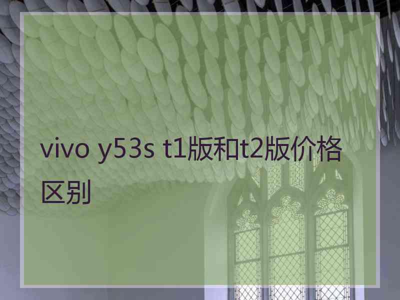 vivo y53s t1版和t2版价格区别