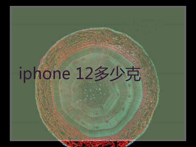 iphone 12多少克