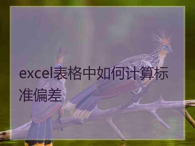 excel表格中如何计算标准偏差