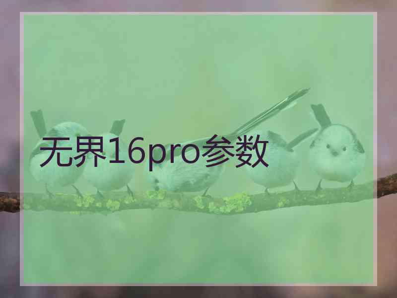 无界16pro参数