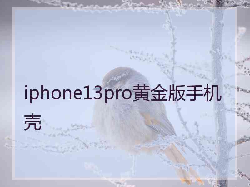 iphone13pro黄金版手机壳