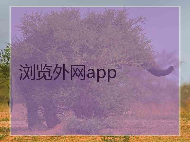 浏览外网app