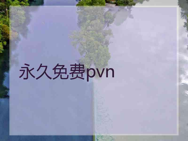 永久免费pvn