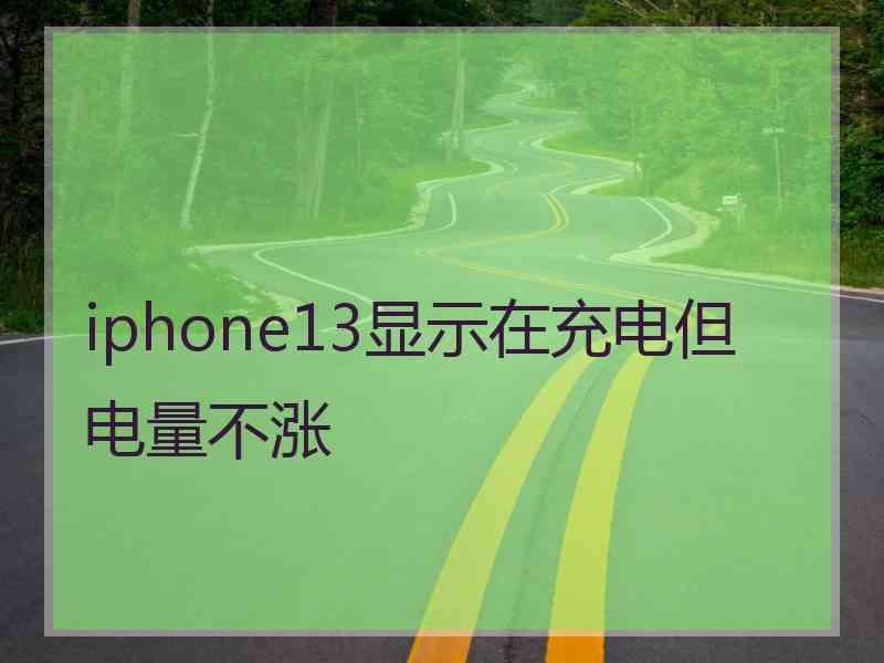 iphone13显示在充电但电量不涨