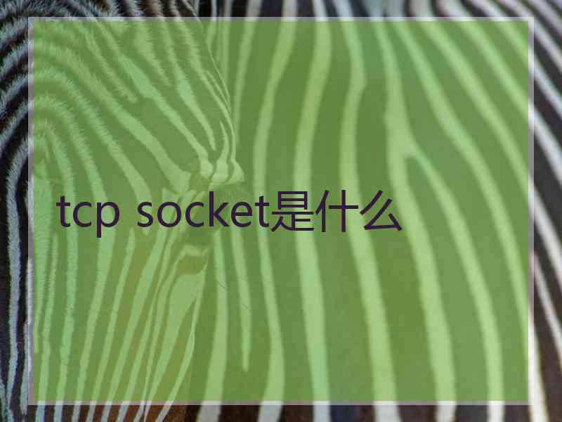 tcp socket是什么