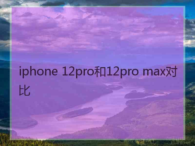 iphone 12pro和12pro max对比