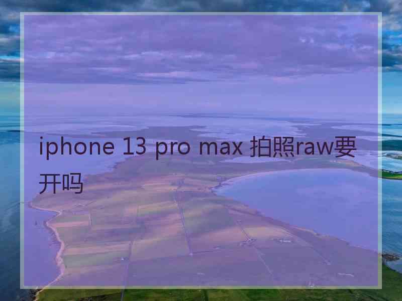 iphone 13 pro max 拍照raw要开吗