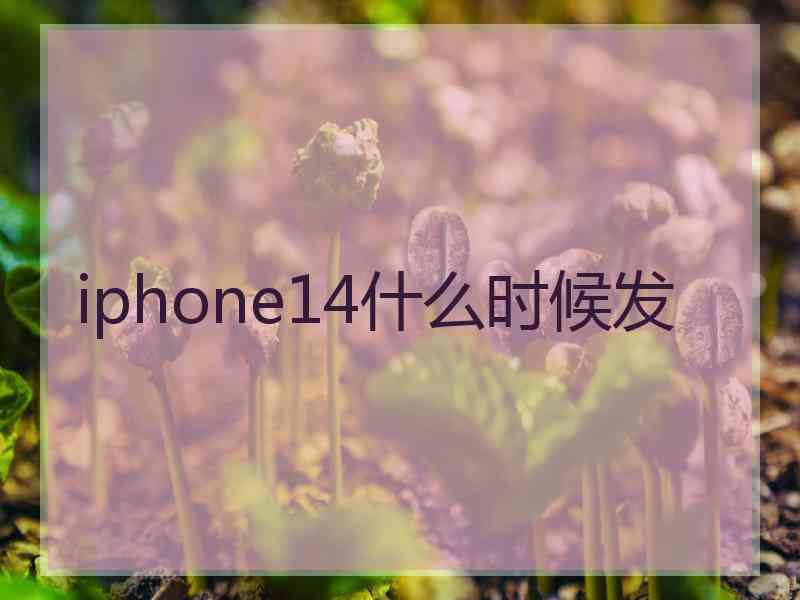 iphone14什么时候发