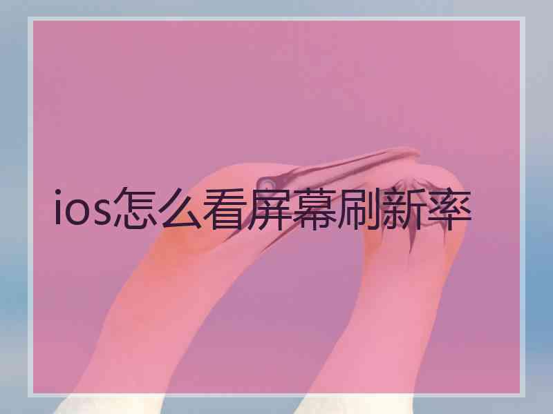 ios怎么看屏幕刷新率