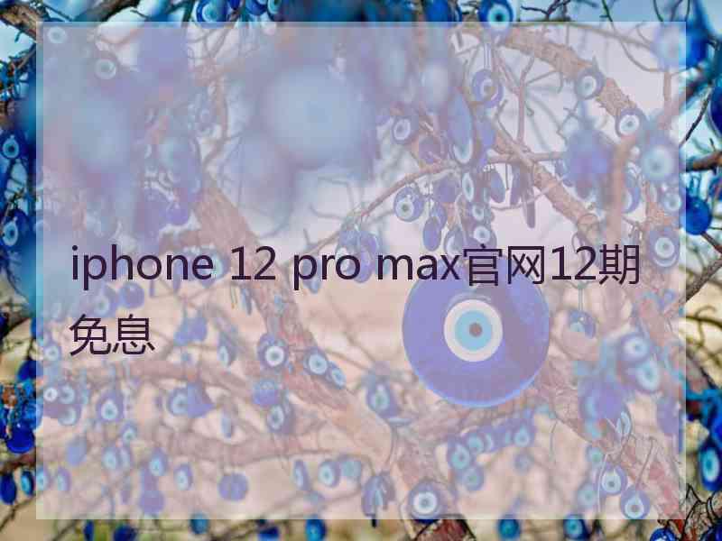 iphone 12 pro max官网12期免息