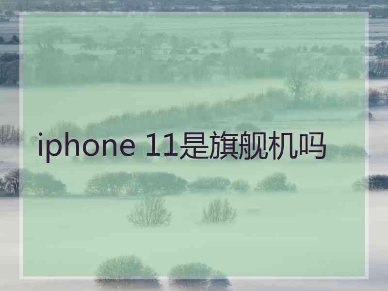 iphone 11是旗舰机吗