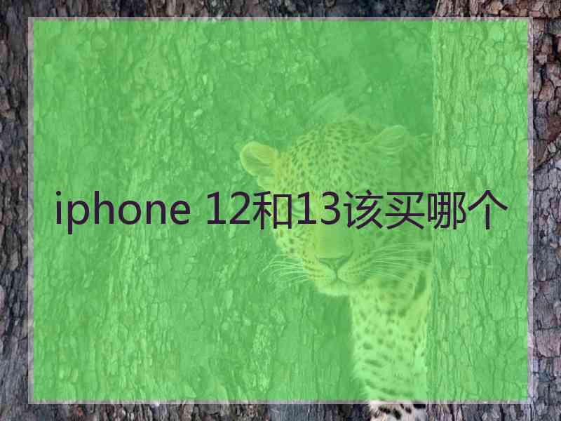 iphone 12和13该买哪个