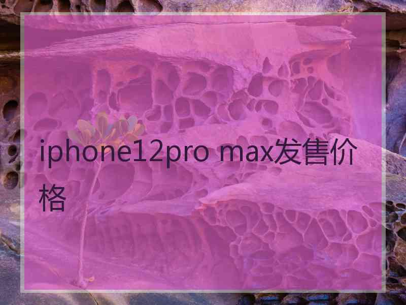 iphone12pro max发售价格