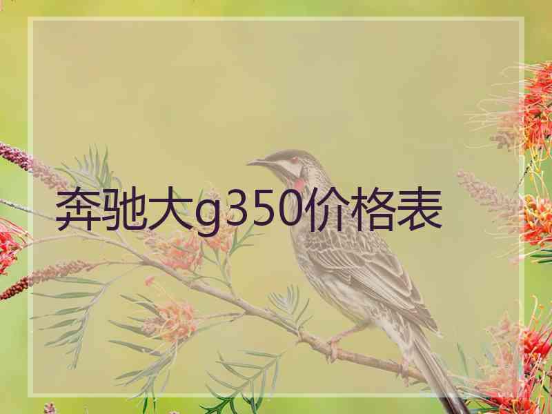 奔驰大g350价格表