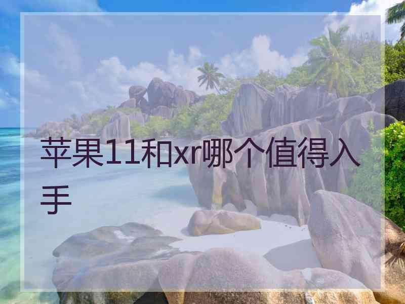 苹果11和xr哪个值得入手