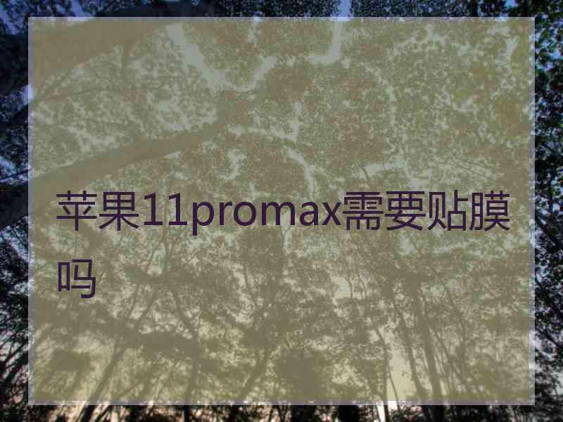 苹果11promax需要贴膜吗