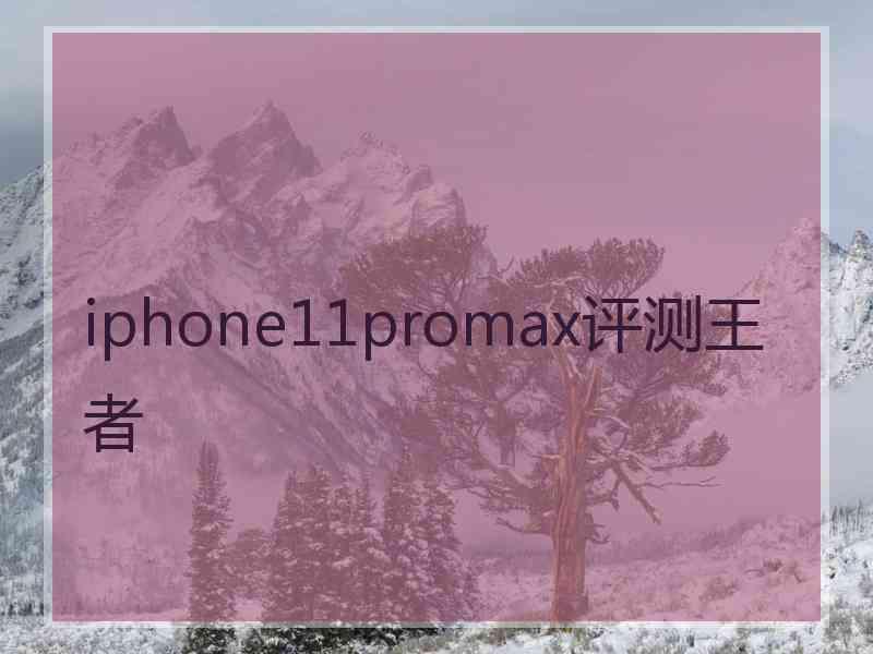 iphone11promax评测王者