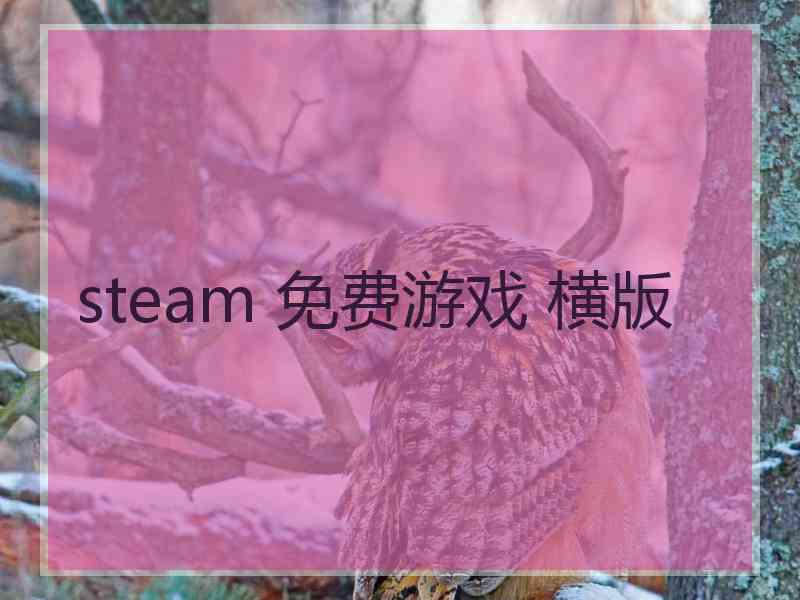 steam 免费游戏 横版