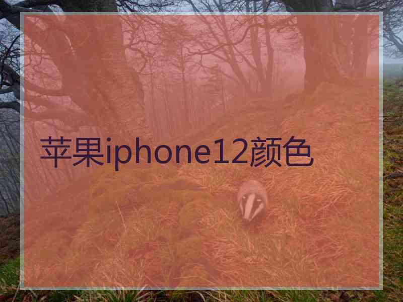 苹果iphone12颜色