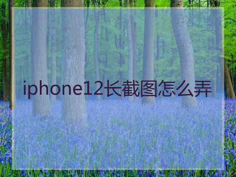 iphone12长截图怎么弄