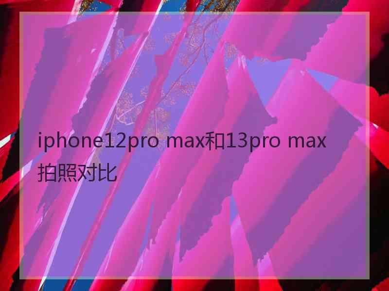 iphone12pro max和13pro max拍照对比